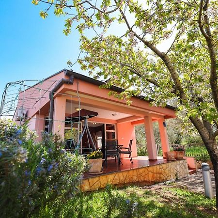 Holiday Home Cvita Sukosan Bagian luar foto